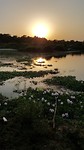 Zonsondergang in Chitwan