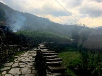 Rook in Nepal