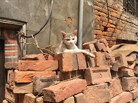 Katmandu