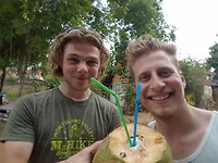 Apen en Kokosnoten