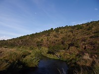 Horton Plains