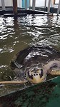 20170524_103902