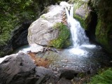 Altford Falls