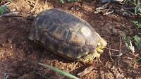 20200215_065657[1]