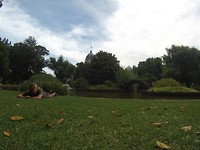 Carlton Gardens