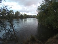 Spot next to the river 3