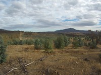 Festival location 2