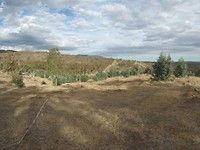 Festival location 3