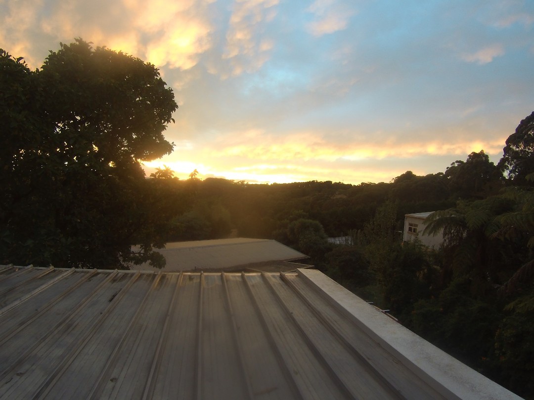 Sunrise in Monbulk