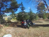 Campsite at Captains flat