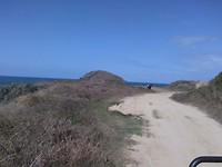 IMG_20180803_143712