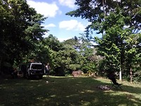 Daintree campsite 2