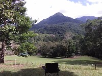 Campsite in the daintree