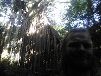 Curtain fig selfie