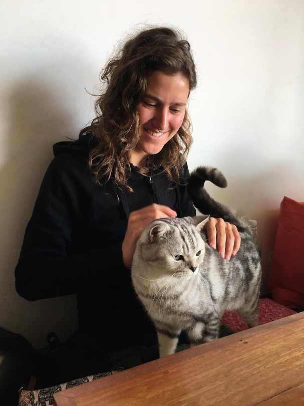 Super lieve kat in een cafe