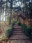 Stairway to heaven