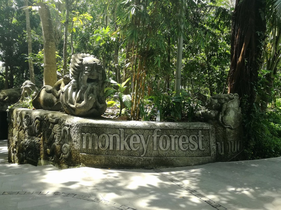 Monkey Forest