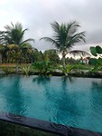 De infinity pool tussen de rijstvelden