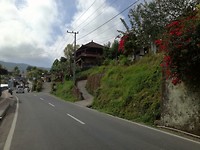 The road