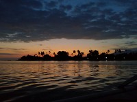 Dolphin watching sunrise