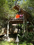 The Tree House :)