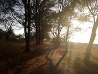 bos/strandwandeling