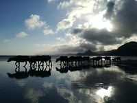 Dit blijft een mooi plaatje <3