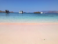Het contrast met het blauwe water <3