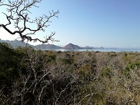 Komodo National Park viewpoint