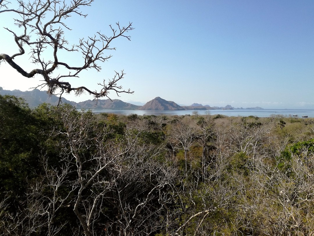 Komodo National Park viewpoint