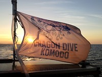 Dragon Komodo Dive