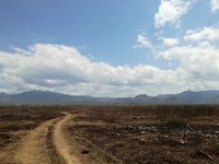 Het landschap begon droog, maar werd snel groen