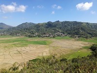 De 'Spiderweb Rice Fields'