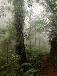 Super mooie mistige hike door de jungle