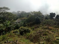 Wae Rebo Village