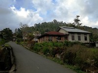 Het schattige Bajawa