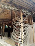 Overal aan de huizen hangen de botten van de dieren die zij geslacht hebben