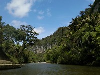 Pororari river