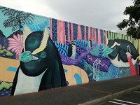 Veel mooie muurschilderingen in Napier