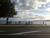 #LOVETAUPO