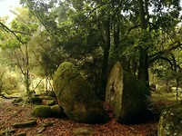 Whitecliff boulders walk