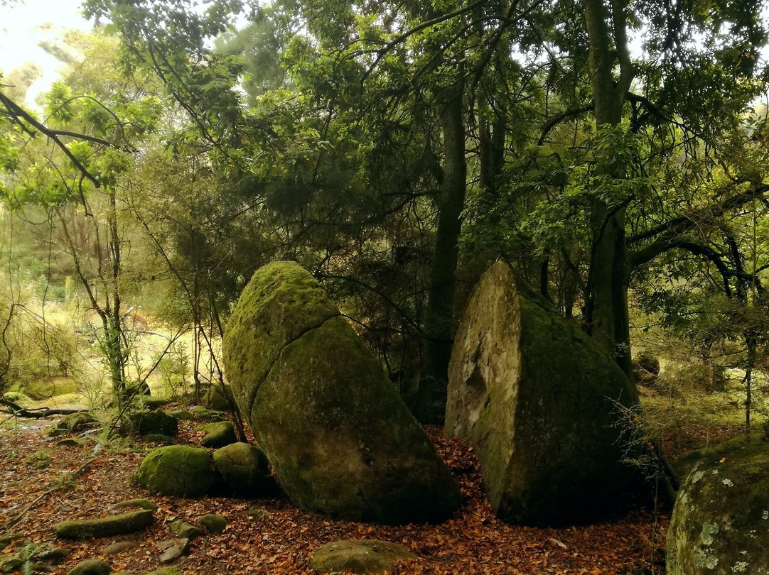 Whitecliff boulders walk