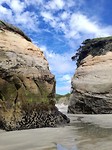 Wharariki beach
