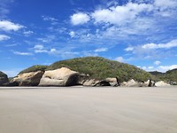 Wharariki beach