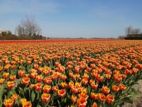 Thuis komen in de lente, beter kan eigenlijk niet <3