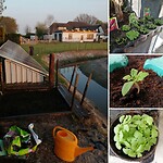 Mijn eigen mini groentetuin gestart!