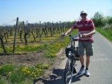 Fietsen tussen de druivenranken.