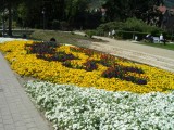 Stadspark Bad Durkheim