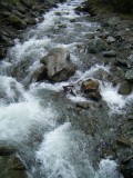 Saalalm/Hinterglemm