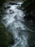 Saalalm/Hinterglemm